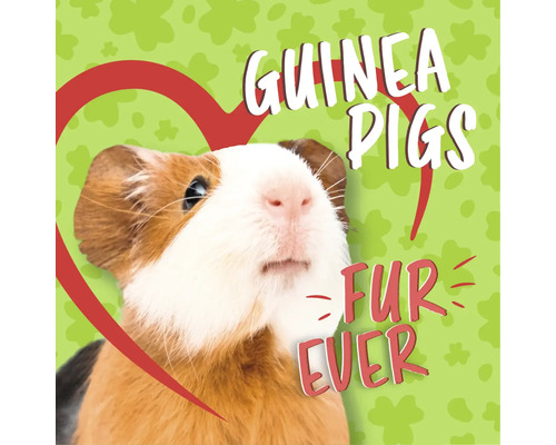 Bruin-witte cavia met de tekst Guinea Pigs Fur Ever en een hartsymbool.