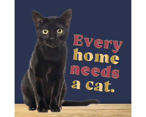 Wanddecoratie met een zwarte kat en de tekst Every home needs a cat.