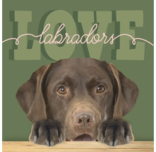 Decoratief bord met een chocoladebruine Labrador Retriever die over een houten rand kijkt en de tekst LOVE labradors.