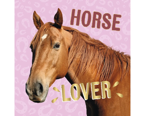 Afbeelding van een paardenhoofd met de tekst Horse Lover op een achtergrond met hoefijzerpatroon.
