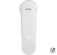 Avital hendel voor eenhendelmengkraan (Image AI modified or generated)