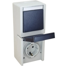 Combinatie van spatwaterdichte schakelaar en wandcontactdoos voor opbouwmontage.