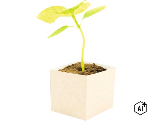 Jonge plant in een vierkante kweekpot van karton (Image AI modified or generated)