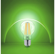 Philips LED filament lamp met schroeffitting en glazen bol