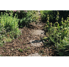 Een tuinpad met natuurstenen stapstenen in boomschors, omgeven door diverse tuinplanten en vaste planten.