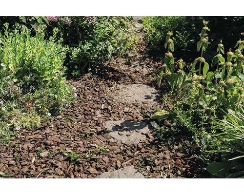 Een tuinpad met natuurstenen stapstenen in boomschors, omgeven door diverse tuinplanten en vaste planten.