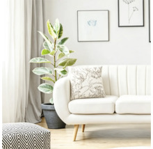 Een lichte woonkamer met bank, gedecoreerd met een kussen met plantenpatroon, daarnaast een kamerplant en een gestreepte poef.