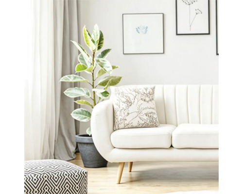 Een lichte woonkamer met bank, gedecoreerd met een kussen met plantenpatroon, daarnaast een kamerplant en een gestreepte poef.