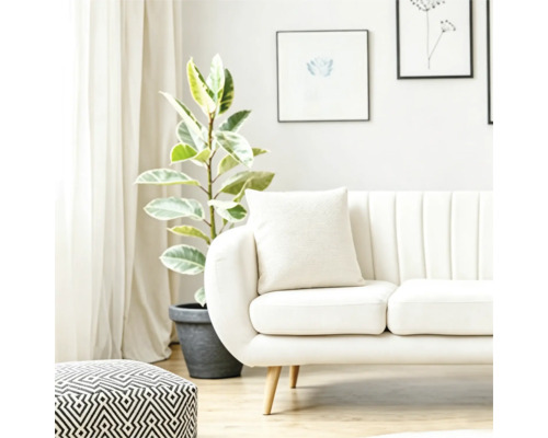 Lichte woonkamer met een moderne bank, kussens, een poef met patroon en een grote kamerplant in een pot bij het raam.