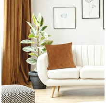 Een sierkussen op een moderne witte bank in de woonkamer met een kamerplant en gordijnen op de achtergrond.