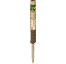 FloraSelf kokos plantensteun van natuurvezel met houten paal, 60 centimeter lang, voor ondersteuning van klimplanten in de tuin.