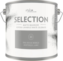 Blik Style Color Selection matte muurverf Dak van de Wereld