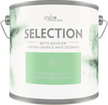 styleCOLOR Selection matte muurverf Magisch Noorderlicht in verfblik