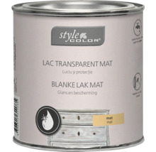 Blik Style Color blanke lak mat voor het beschermen en afwerken van meubels en houten oppervlakken binnenshuis.