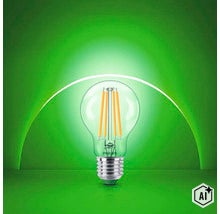 Philips LED filament gloeilamp met E27 fitting en heldere glazen lampvorm (Image AI modified or generated)