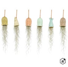Zes hangende keramische plantenpotten in diverse vormen met Tillandsia aan jute koorden (Image AI modified or generated)