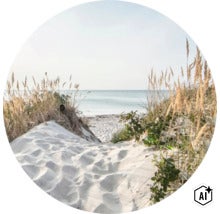 Duinlandschap met zandpad en duingras voor de zee bij een heldere lucht. (Image AI modified or generated)