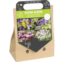 Set van 40 bloembollen voor een pluktuin in een papieren draagtas met afbeeldingen van irissen, allium, tulpen en Acidanthera.