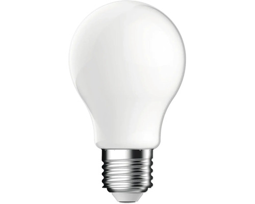 LED lamp met E27 fitting en matte peervorm
