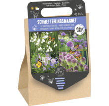 40 stuks bloembollen als vlindermagneet om vlinders aan te trekken, verpakking met plantinstructies.