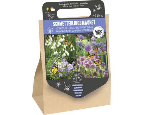 40 stuks bloembollen als vlindermagneet om vlinders aan te trekken, verpakking met plantinstructies.