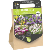 Pluktuin bloembollen mix met 35 stuks in een papieren draagtas voor het bevorderen van nuttige insecten.