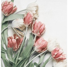 Close-up van tulpenbloemen met dauwdruppels