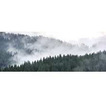 Boslandschap met mist