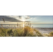 Panorama van een kustlandschap met gras op de voorgrond, een strand en de zee op de achtergrond