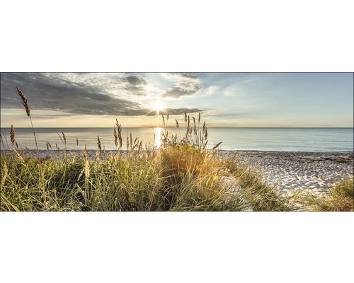 PURE LIVING Schilderij glas Wild Beach 50x125 cm