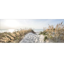 Strandlandschap met duin en zee