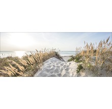 Duinlandschap met helmgras en uitzicht op de zee