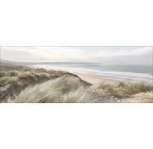 Foto van een zandstrand met duingras