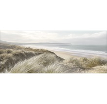 Duinlandschap met strand en zee