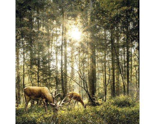 PURE LIVING Schilderij glas Deers In The Forest 50x50 cm