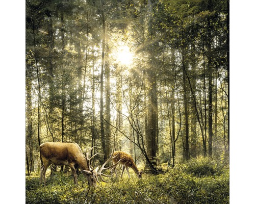 PURE LIVING Schilderij glas Deers In The Forest 20x20 cm