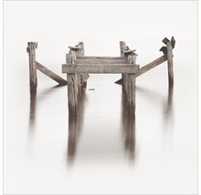 Oude houten constructie in het water