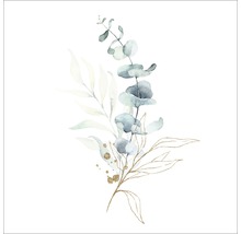Aquarel illustratie van eucalyptus takken en bladeren