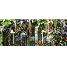 Decoratieve plantenwand met verschillende plantensoorten