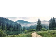 Landschap met meer, bos en pad
