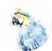 Illustratie van een papegaai in aquarel stijl
