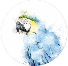 Illustratie van een papegaai in aquarel stijl