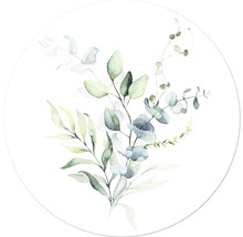 Aquarel voorstelling van eucalyptusbladeren