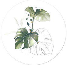 Illustratie van Monstera bladeren
