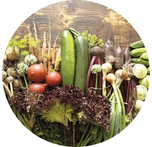 Selectie van verse groenten zoals courgette, sla en tomaten