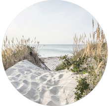 Zandstrand met duinen en zee