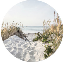 Uitzicht op een zandstrand met gras en zee