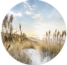 Duinlandschap met strand en zee in gouden licht