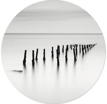 Fotografie van een rij oude houten palen in het water