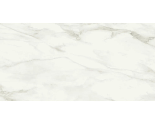 Wand- en vloertegel Eterna white gepolijst 60x120 cm gerectificeerd
